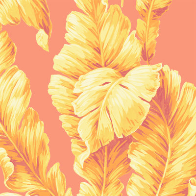 Lets Go Bananas Coral Wallpaper