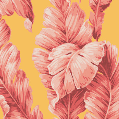 Lets Go Bananas Pink/Yellow Wallpaper