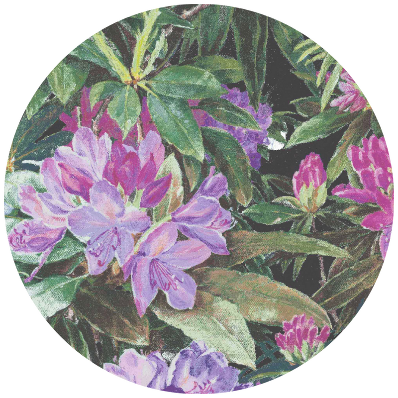 Rhododendron Purple & Black Floral Velvet Fabric