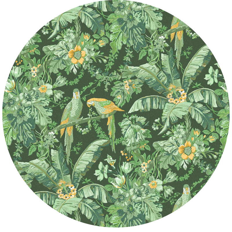 Parrot Talk Lush Green Velvet Fabric