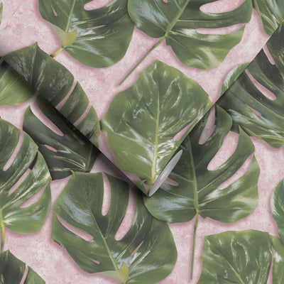 Monstera Green/Blush Wallpaper