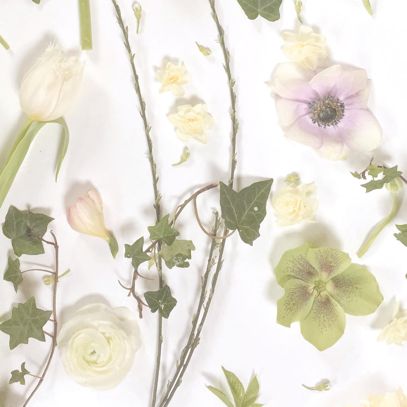 Springtime Designer Botanical Wallpaper by Woodchip & Magnolia