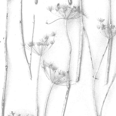 'Queens Anne's lace' Wallpaper by Woodchip & Magnolia