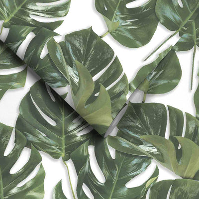 Monstera Green/White Wallpaper