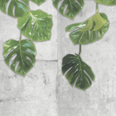 Real Monstera Mural