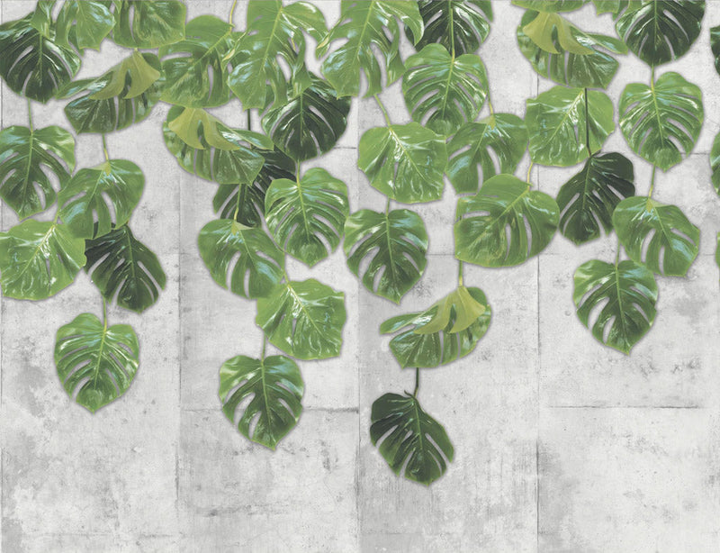 Real Monstera Mural