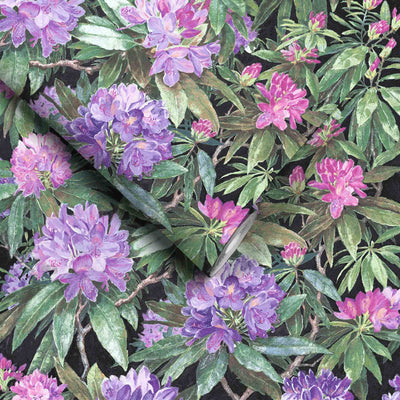 Rhododendron Purple & Black Wallpaper