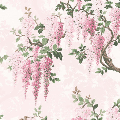 Wisteria in Pretty in Pink Floral Wallpaper By Woodchip & Magnolia