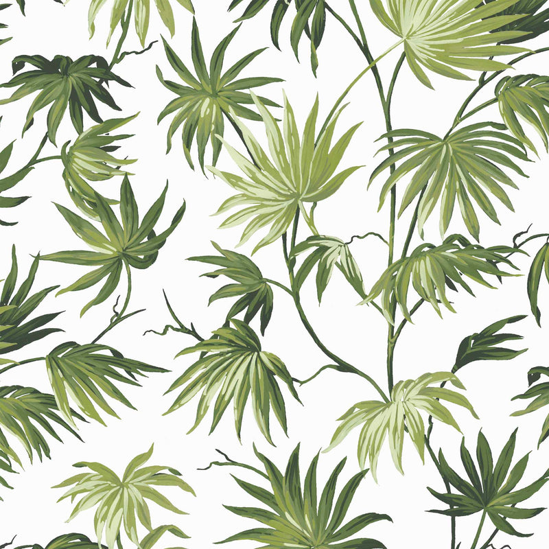 Va Va Frome Meadow Green Leaf Botanical Wallpaper By Woodchip & Magnolia