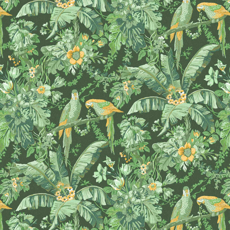 Parrot Talk Lush Green Wallpaper