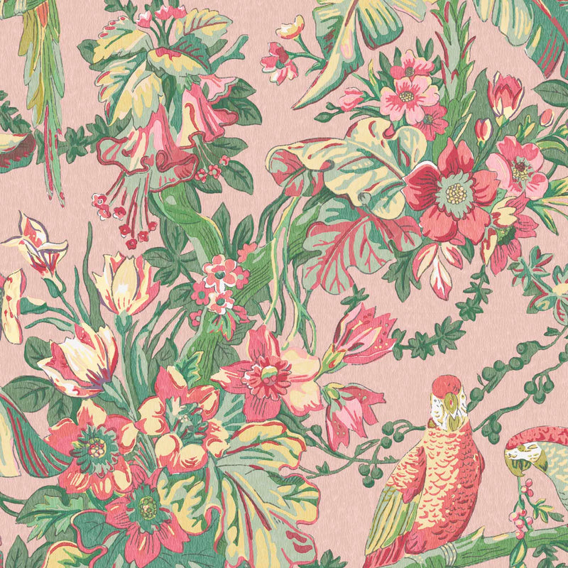 Parrot Talk Sunset Pink Wallpaper