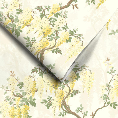 Wisteria in Lemon Yellow Wallpaper