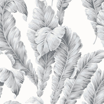 Banana Leaf Dove Grey Wallpaper By Woodchip & Magnolia