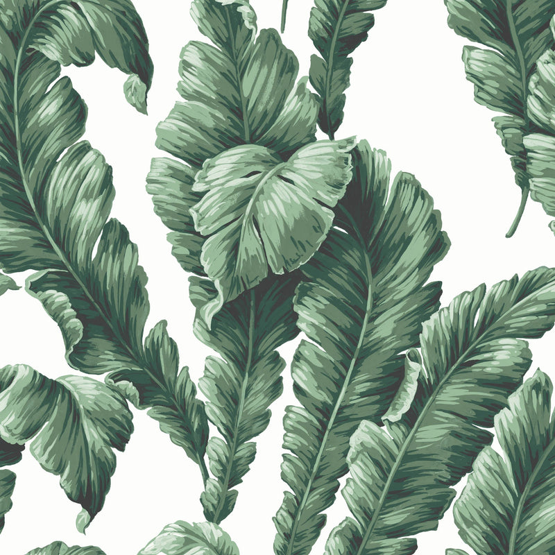 Banana Leaf Green Wallpaper By Woodchip & Magnolia