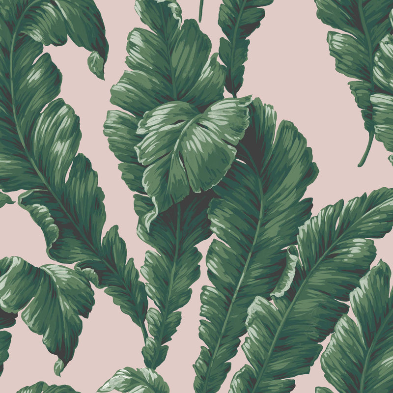 Lets Go Bananas Green/ Blush Wallpaper