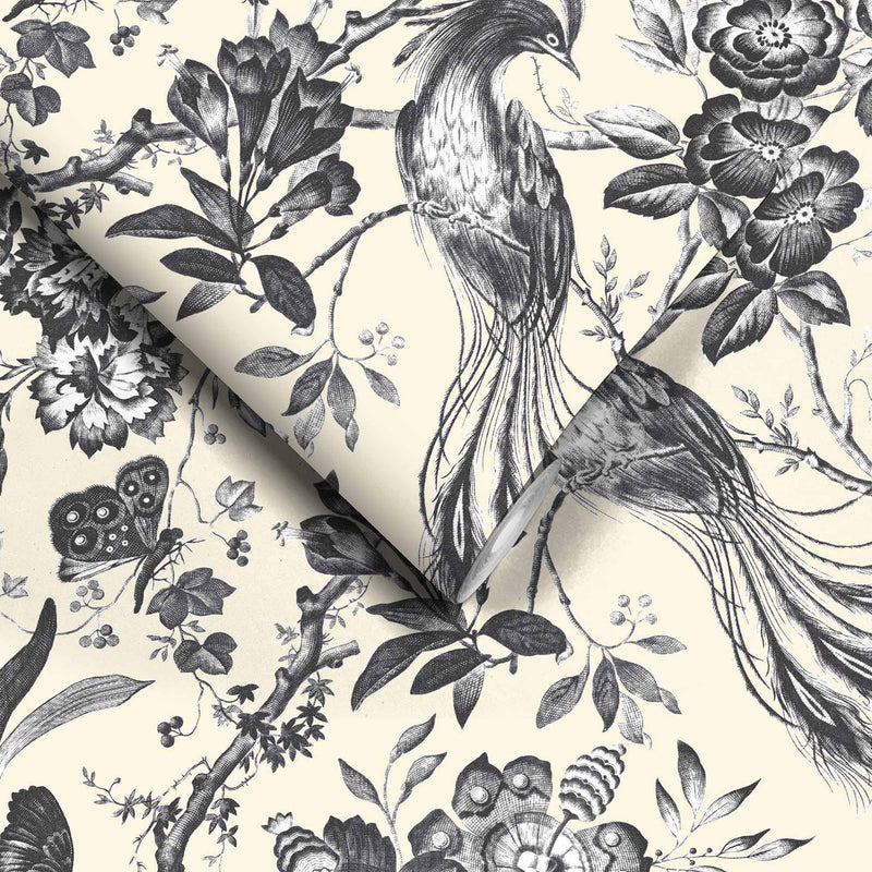 Plumage Charcoal/Cream Wallpaper