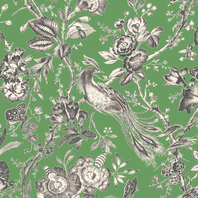 Plumage Jade Botanical Bird Wallpaper By Woodchip & Magnolia 