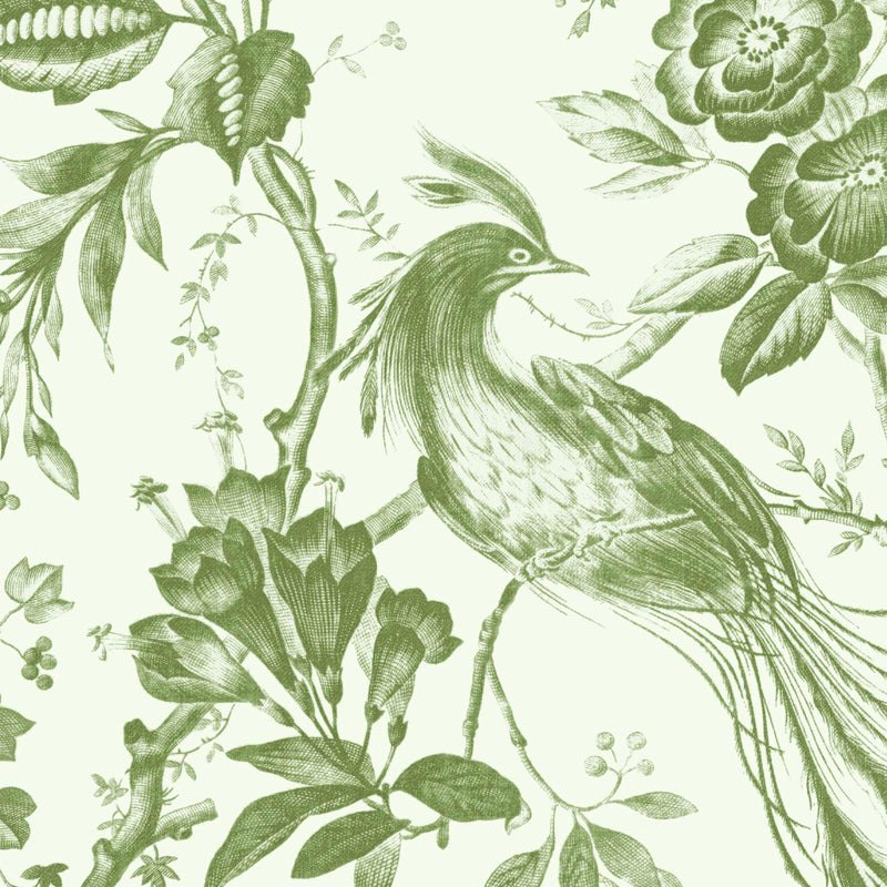 Plumage Green on Green Wallpaper