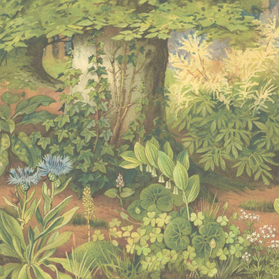 Biophilia Botanical Mural