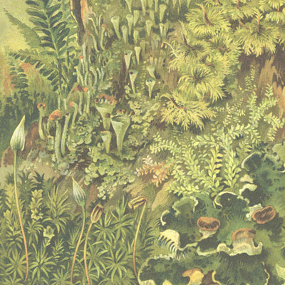 Biophilia Botanical Mural