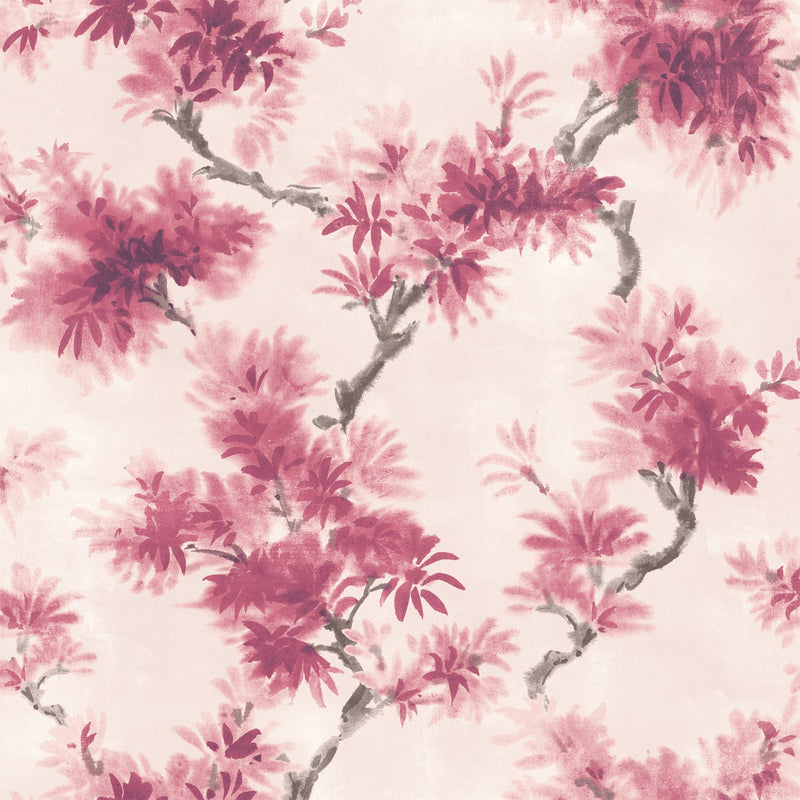 Aralia Fuchsia Wallpaper