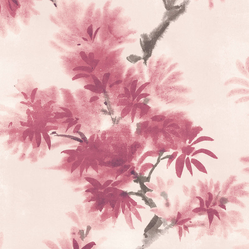 Aralia Fuchsia Wallpaper