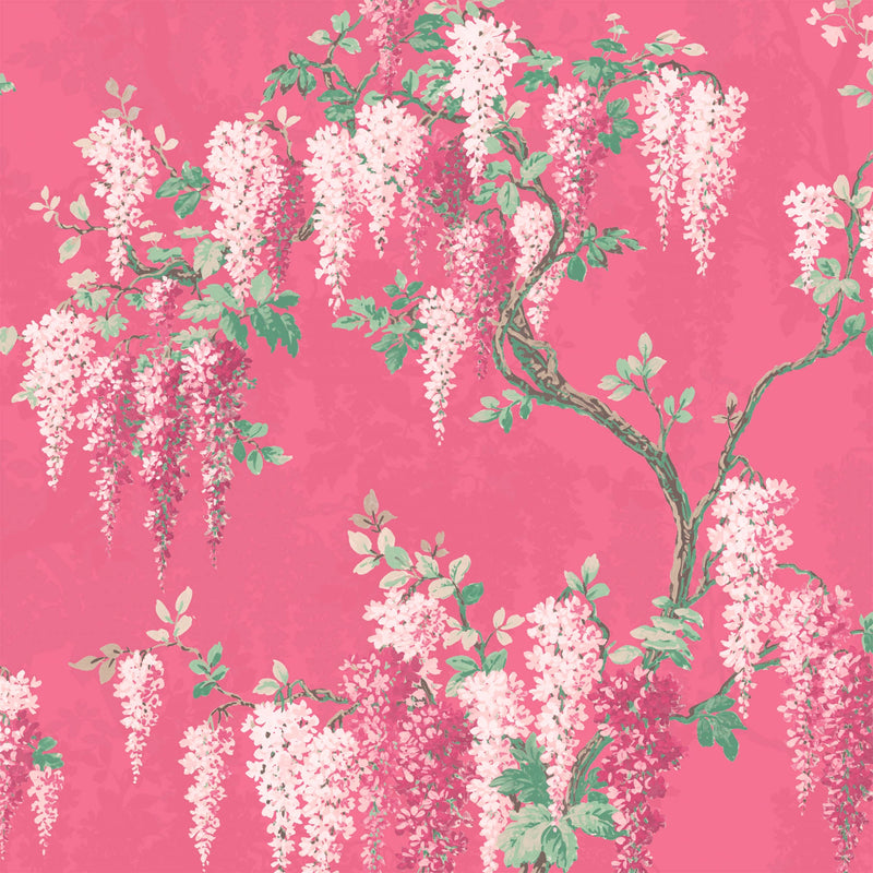 Wisteria Botanical Disco Pink Wallpaper