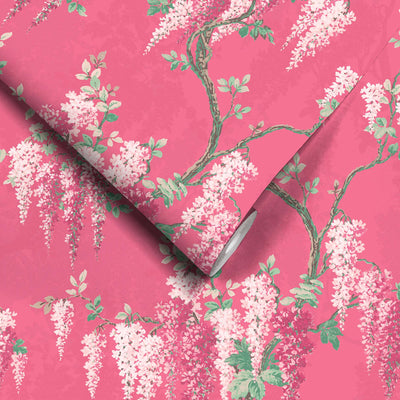 Wisteria Botanical Disco Pink Wallpaper