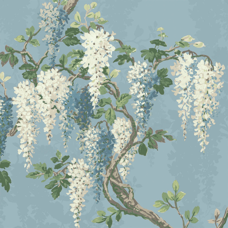 Wisteria Botanical Powder Blue Wallpaper