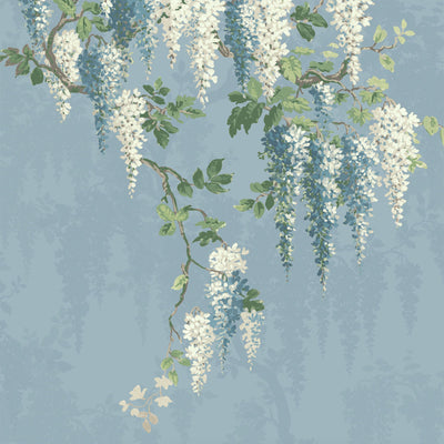 Wisteria Botanical Powder Blue Mural