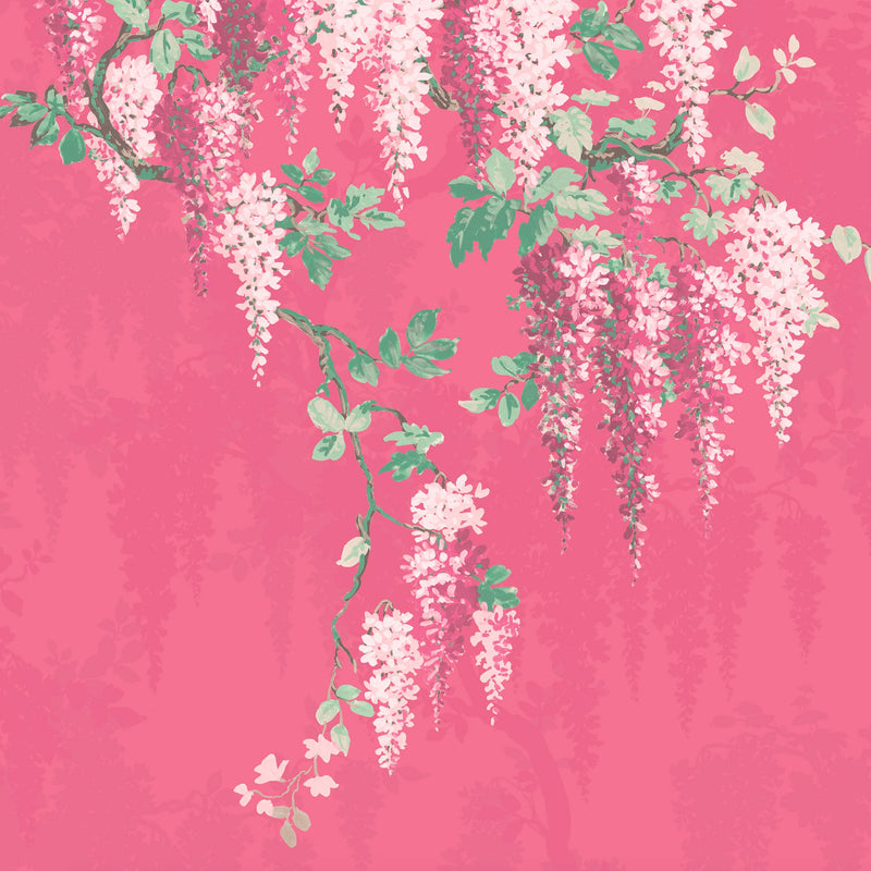 Wisteria Botanical Disco Pink Mural