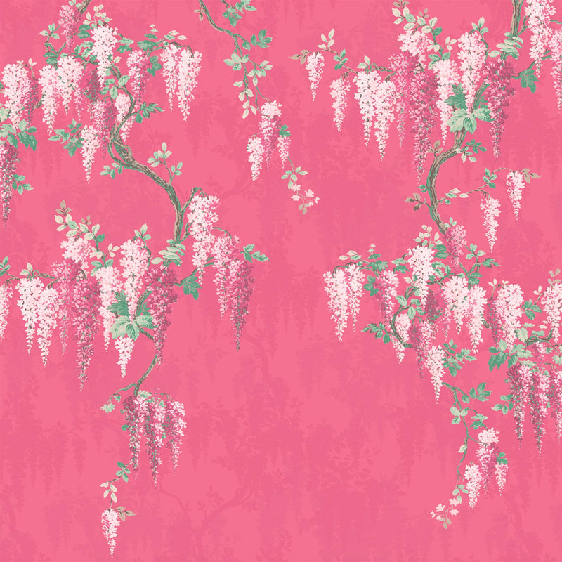 Wisteria Botanical Disco Pink Mural