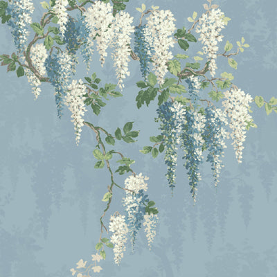 Wisteria Botanical Powder Blue Border