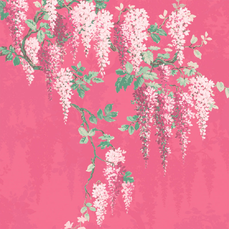 Wisteria Botanical Disco Pink Border