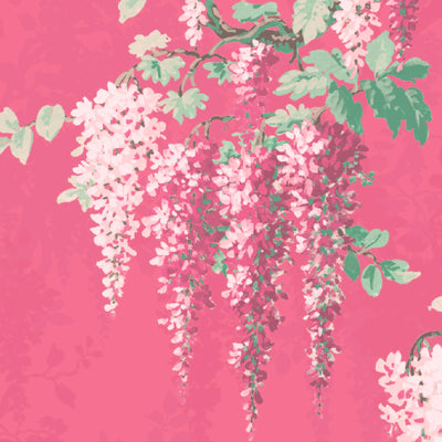 Wisteria Botanical Disco Pink Border