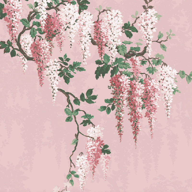 Wisteria Botanical Pink Bloom Border