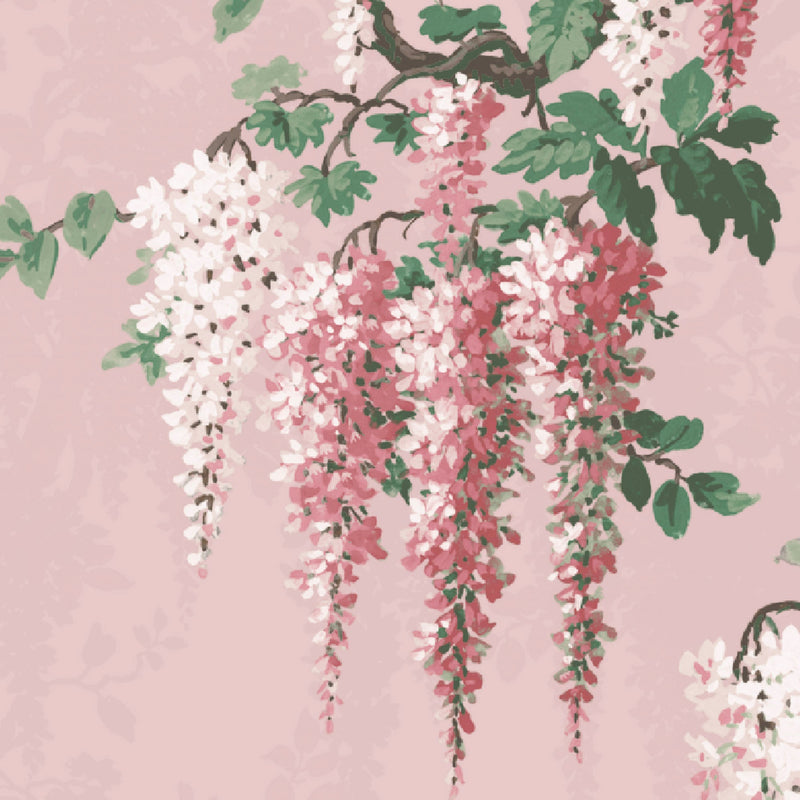 Wisteria Botanical Pink Bloom Border