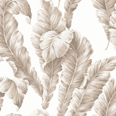 Banana Leaf Natural Wallpaper By Woodchip & Magnolia