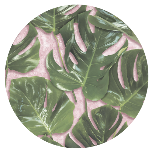 Monstera Green & Blush Velvet Fabric