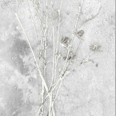 Meraki Concrete Effect Botanical Wallpaper​