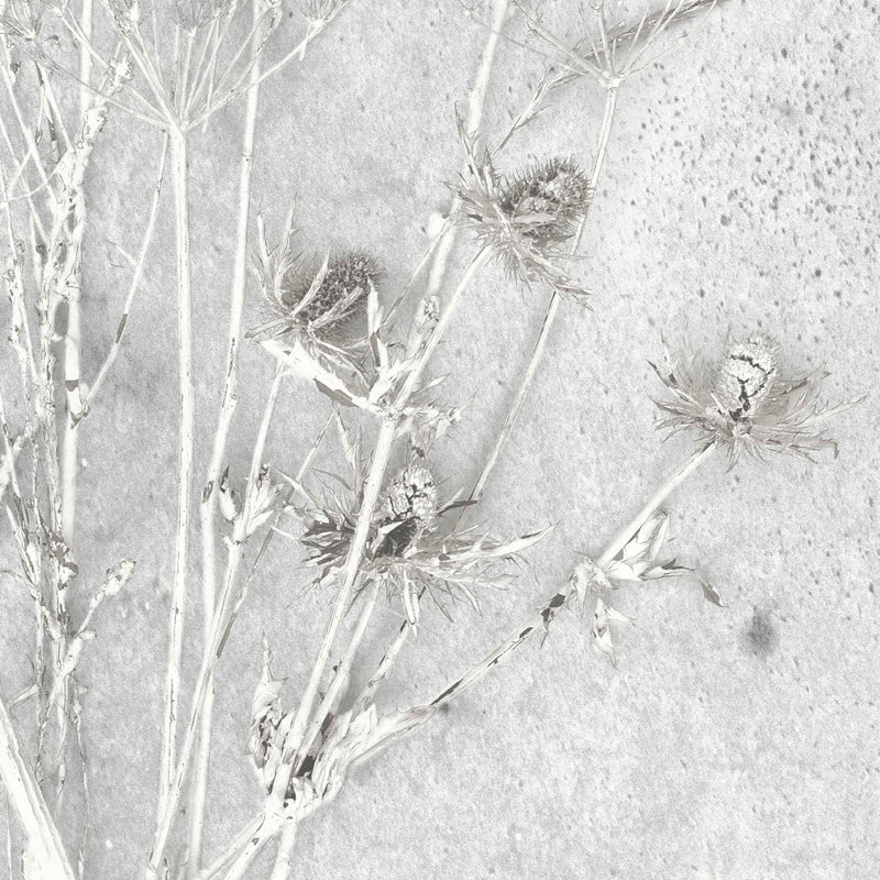 Meraki Concrete Effect Botanical Wallpaper​