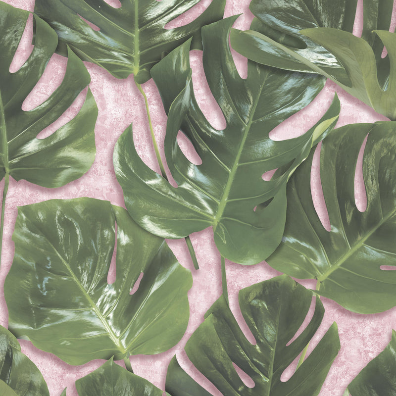 Monstera Green/Blush by Woodchip & Magnolia 